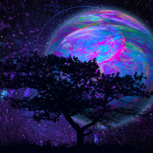 Nantikan Angin Malam