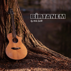 Birtanem