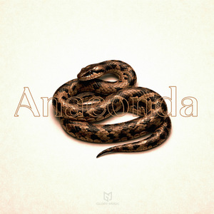 Anaconda