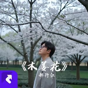 木姜花（重制版） (现场)