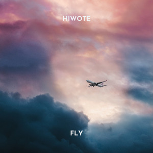 Fly