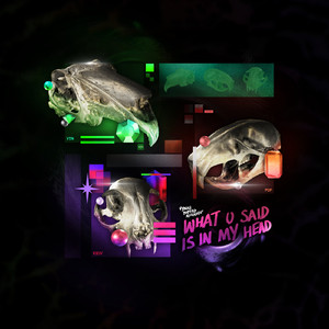 WHAT U SAID IS IN MY HEAD