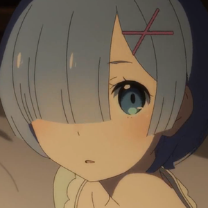 夏日祭烟火大会上与一只猫的邂逅