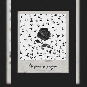 Чёрная роза (Prod. By Chamzy)