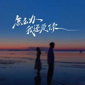 怎么办我还爱你