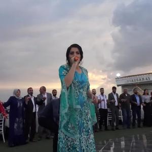 Dengbej Havin - POTPORİ 1 (Naçım Zozana, Wey Gul, Here Le LeMeyro)