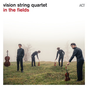 String Quartet No. 4, 2nd Movement, Percussive Dimensions