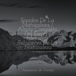 Lamento Desolado al Anochecer