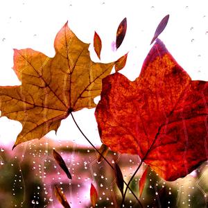 I shouldn't have gone out (Не трябваше да излизам)