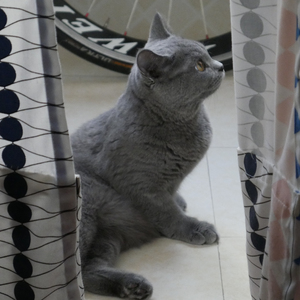 I don't miss you anymore（Cover Lisa Ekdahl）