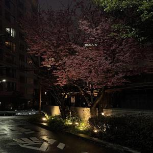 japan (feat. NoWayGoon)