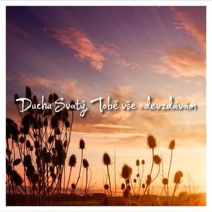 Duchu Svatý, Tobě vše odevzdávám (feat. Jan Bechyňák)