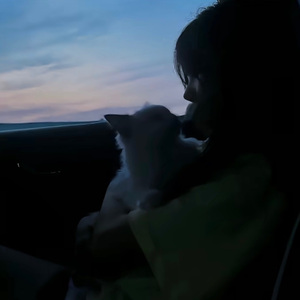 你最爱的不是我