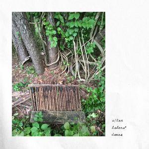 driving home from shows