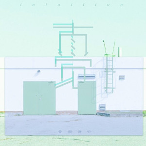 直觉（Cover 赵方婧）