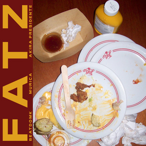 FATZ