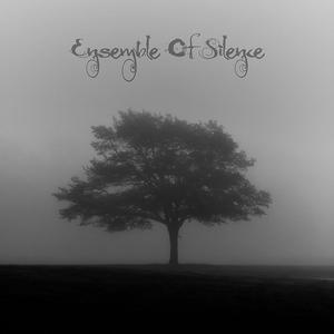 Voices From The Woods