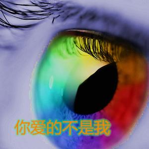 你爱的不是我