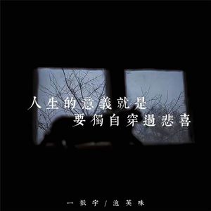 人生的意义就是要独自穿过悲喜