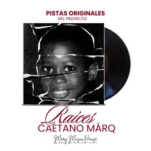 Disfrutar El Amor (Pistas Originales del Proyecto Musical)