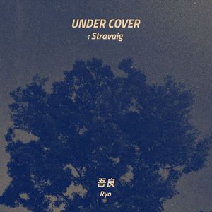 城市（cover 张悬）