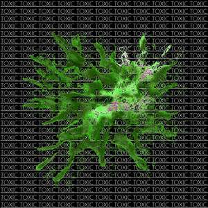 Toxic