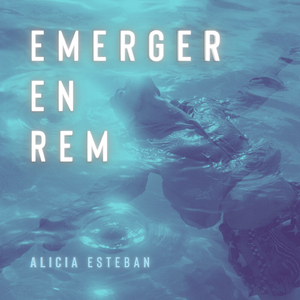 Sumergiéndome en la Somnolencia