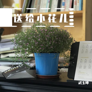 小狗狗哄你睡觉