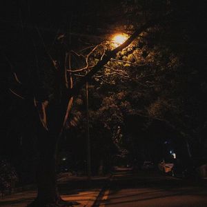 风吹过后