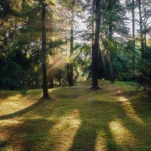 踏雪寻那无声叹