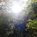 永不再见