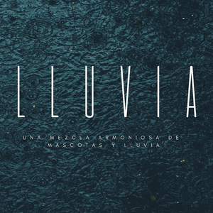 Lluvia Binaural Para Mascotas