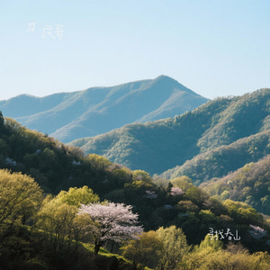 寻找春山