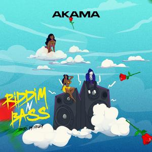 Riddim N Bass