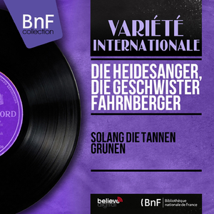 Hoch in den Bergen