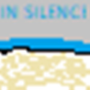 IN SILENCE (8-Bit + 16-Bit Cover)