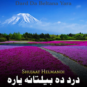 Da Shaheedano Pa Yado Ke