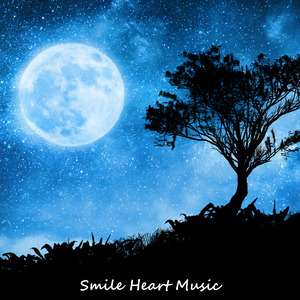 心を落ち着かせたい時に聴くピアノ曲「星の光に包まれた夜空の下での安らぎ」