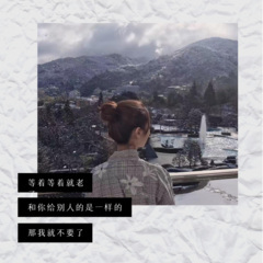 灯花佐酒 (DJ版)