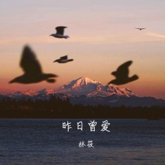 昨日曾爱 (虚伪的男神中文版)