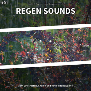 Regengeräusche
