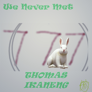 We Never Met