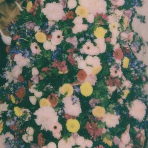 Bossa No Sé（翻自 cuco）