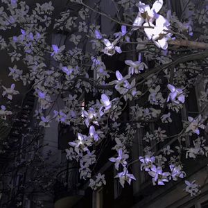 A Kind of Sorrow 有一种悲伤（女生独唱版）