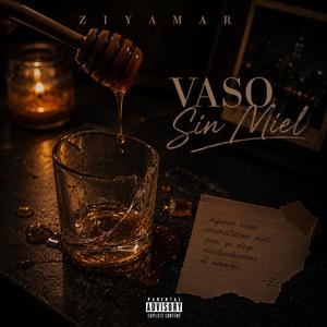 Vaso Sin Miel