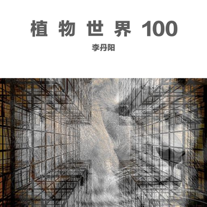 魔都围猎