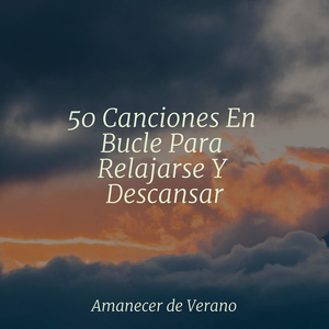 Ecos Entre los Campos