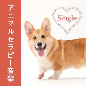 アニマルセラピー音楽: Single