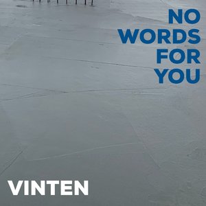 No Words For You
