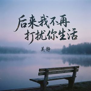 后来我不再打扰你生活(伴奏)